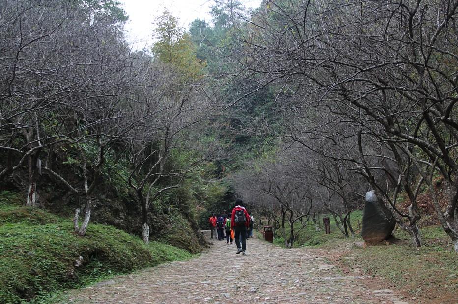 (9)廣州戶外：國(guó)慶節(jié)  江西【丫山】【梅關(guān)古道】二天-戶外活動(dòng)圖-駝鈴網(wǎng)